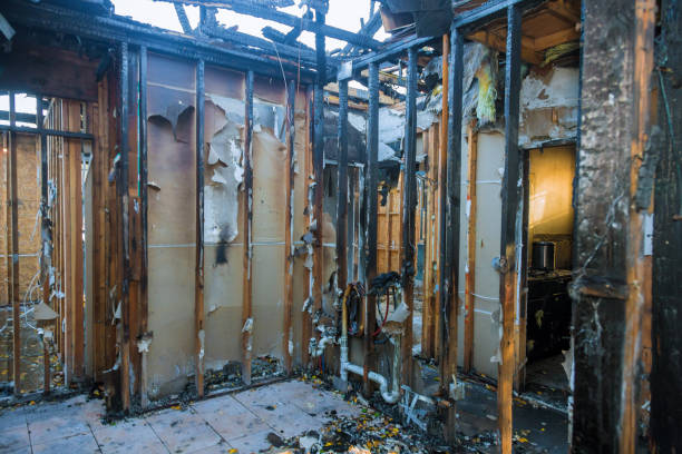 Professional Structural Rebuild technician working in Lowry Crossing, TX